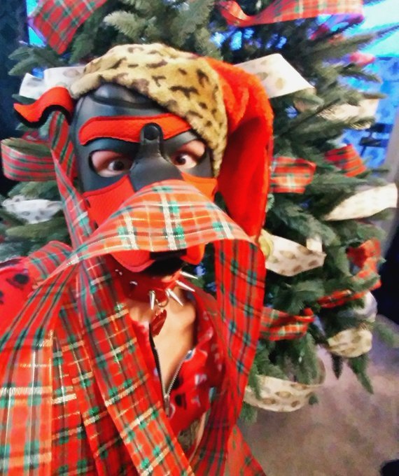 1 pic. Me vs da tree... ?? 
#gaypup #gaychristmas #gay #humanpet #petplay #puppyplaycommunity #puppyplay