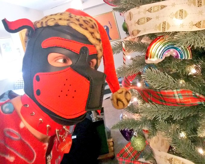 4 pic. Me vs da tree... ?? 
#gaypup #gaychristmas #gay #humanpet #petplay #puppyplaycommunity #puppyplay