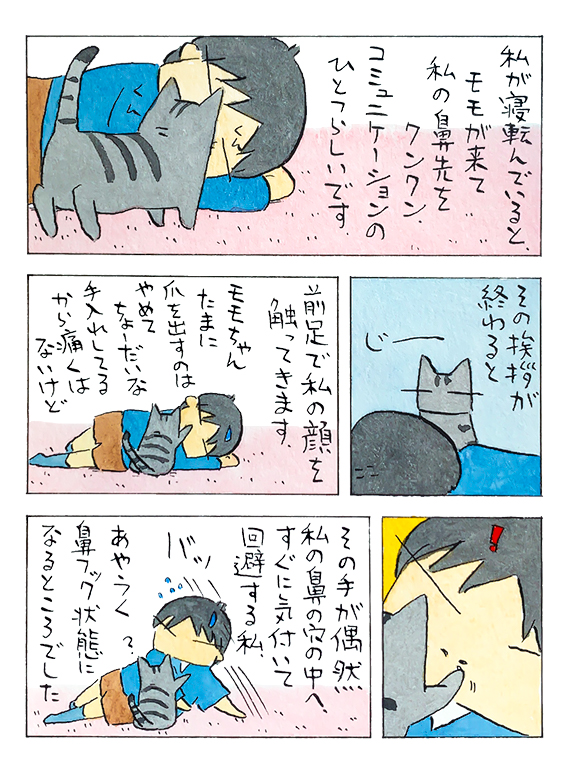鼻のはなし│フェリシモ猫部 https://t.co/YDJve3iQDn 