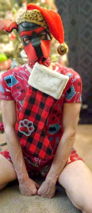 My new stocking!!!  ??? 
#gaypup #gaychristmas #gay #humanpet #petplay #puppyplaycommunity #puppyplay