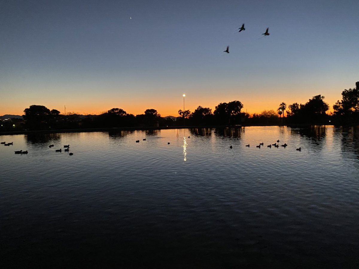 kstonezone's tweet photo. Ducks at dusk. #azsunset #arizonasunset #phxsunset #phoenixsunset https://t.co/PlcP3zMmPv