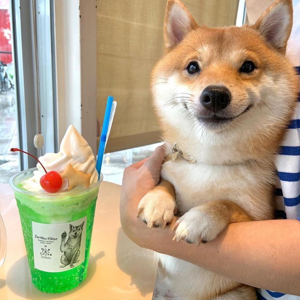 DiloConPerritos's tweet photo. Yo con cualquier comida. https://t.co/d0YuxedWzN