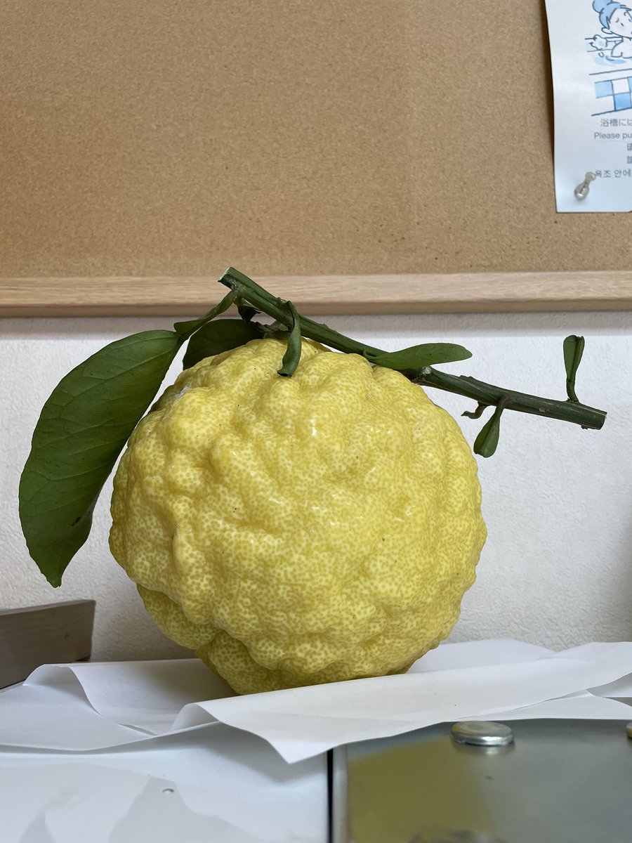 鬼柚子 Twitter Search Twitter