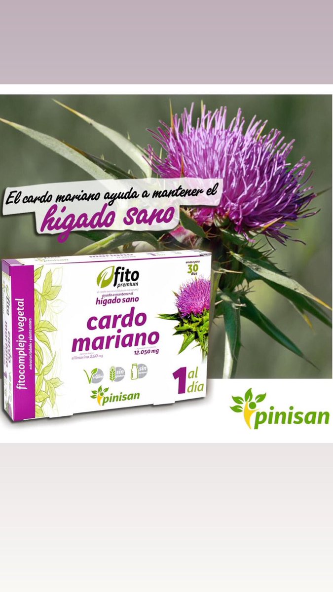¿Conoces #CardoMariano de nuestra línea #FitoPremium? 💜 Un potente fitocomplejo (extracto titulado + planta entera) equivalente a 12.050 mg de planta y 240 mg de silimarina por cápsula. 
⚡ Máxima concentración.
⚡ Alta asimilación.
⚡ Facilidad de toma.