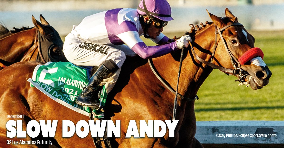 DougONeill1's tweet photo. Good thing he doesn't know what his name means! Nyquist colt Slow Down Andy wins the G2 Los Alamitos Futurity for owner Reddam Racing LLC. Officially on the Derby trail! @_MGutierrez_ up. @EclipseSports /Casey Phillips photo. #slowdownandy #nyquist @DarleyStallions https://t.co/nAtk4j2yR2