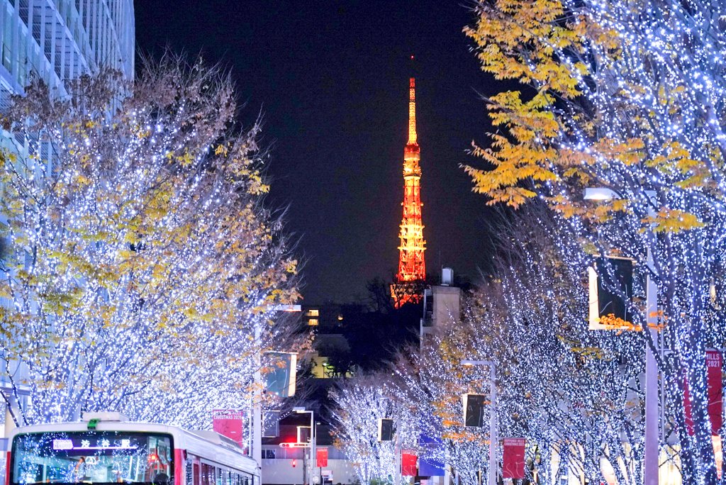 shigesh32276292's tweet photo. おはようございます。
昨夜の六本木ヒルズとけやき坂は美し過ぎました。

#けやき坂　#六本木　
#イルミネーション　
#ファインダー越しの私の世界ᅠ
#SonyAlpha
#Destinationjapan　
#beautifultokyo https://t.co/xFF8RyP1Ys