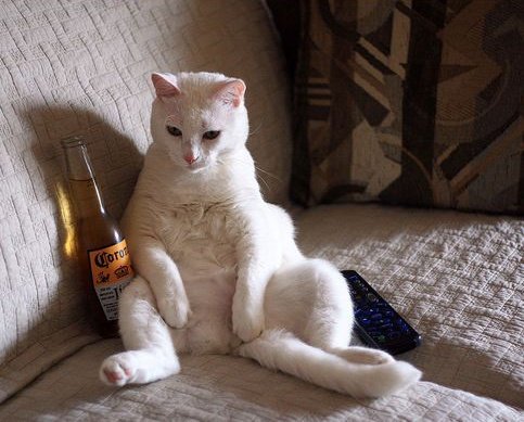 ANGEL |parody| ♡ tweet media