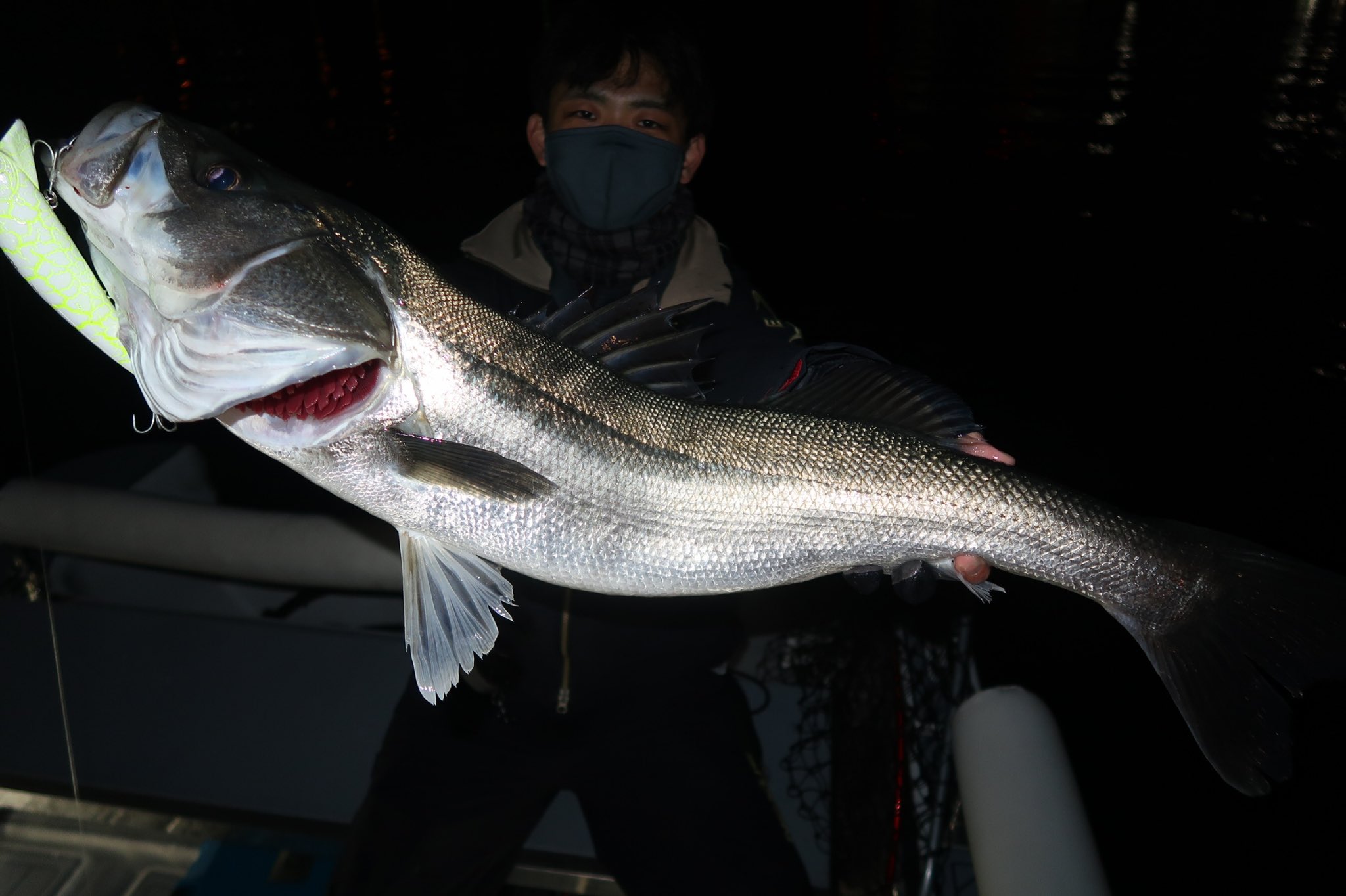Gloryfishing Twitter Search Twitter