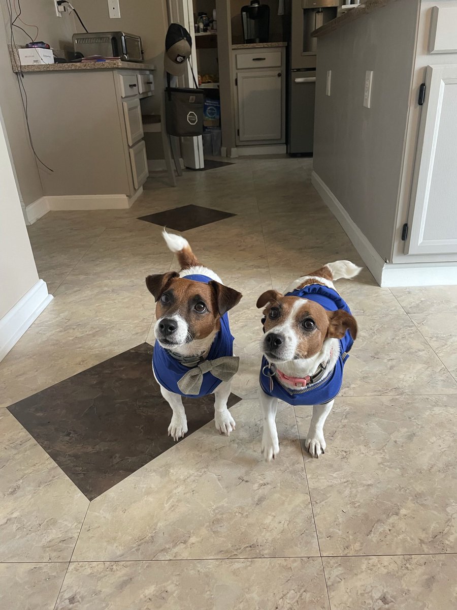 Tera Brickner tweet media