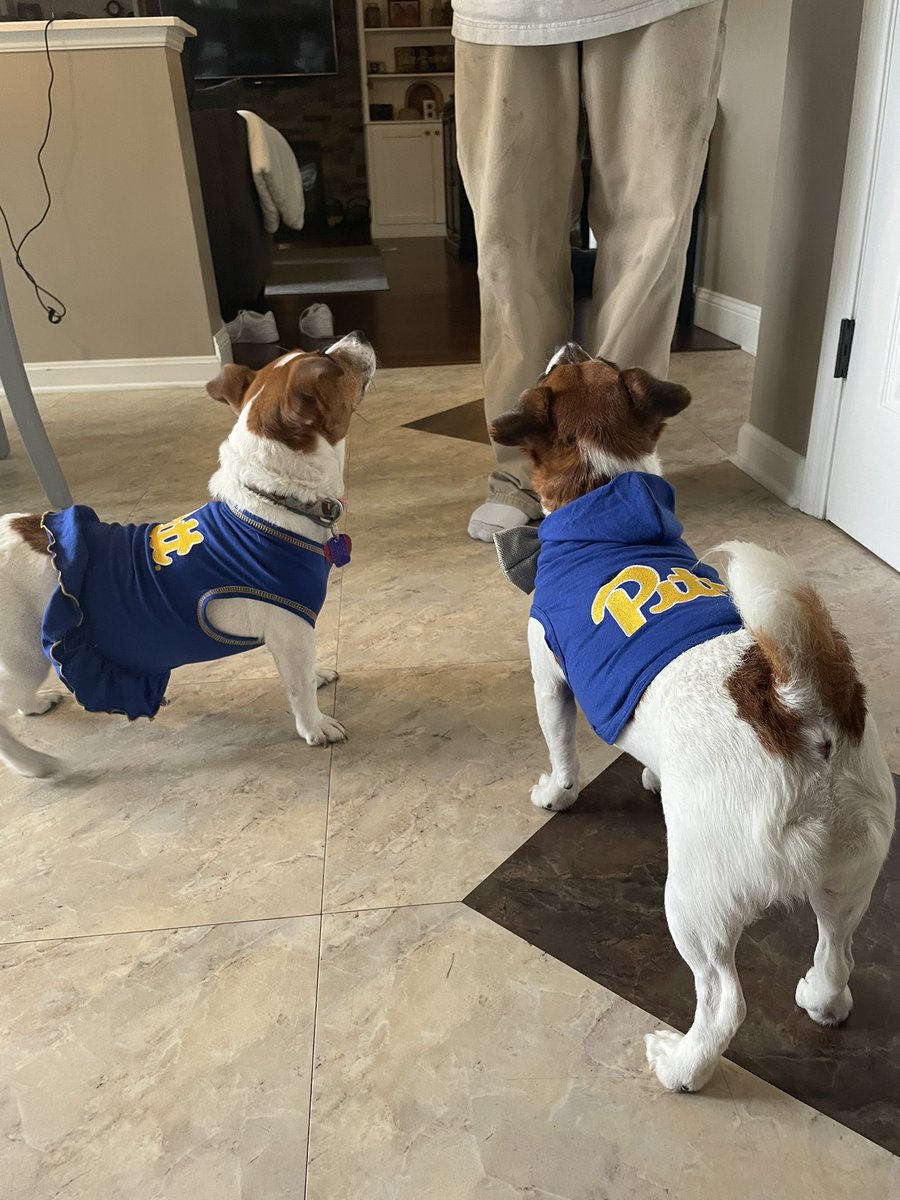 Tera Brickner tweet media