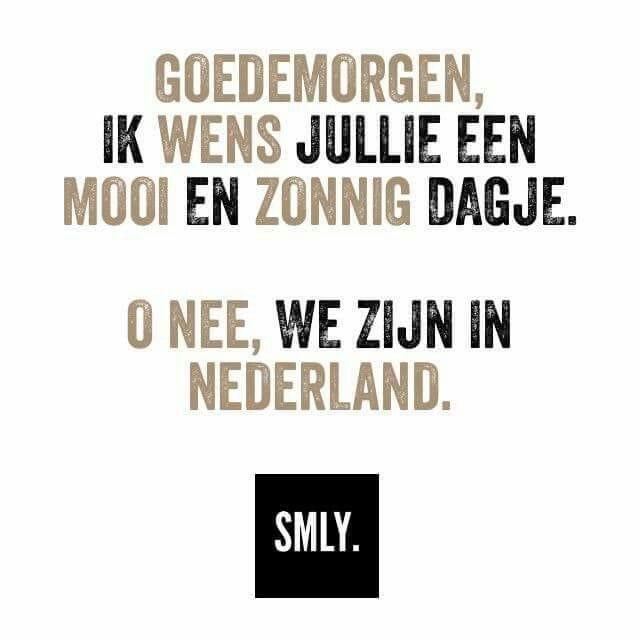 Arjo Miedema (@arjomf) on Twitter photo 