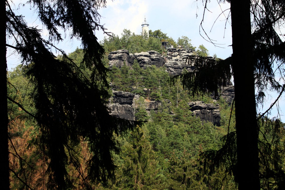 Forstler1's tweet photo. 1/10 Heute geht es auf den Papststein, den mittleren der drei Steine zwischen Kurort #Gohrisch und #Papstdorf. Hier vom Fuße des #Gohrischstein in östlicher Richtung gesehen. https://t.co/2dYnVffHo7