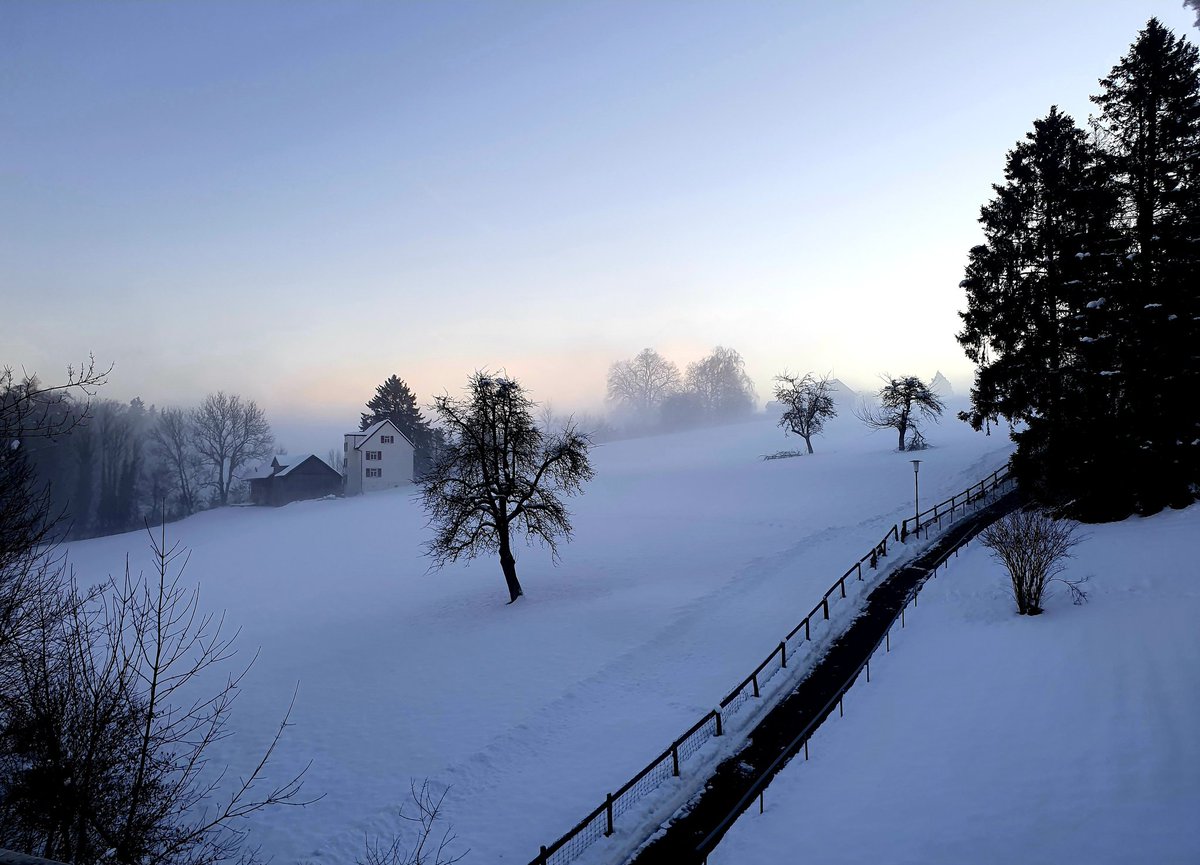 tomi_wunder's tweet photo. Ein kalter dritter Adventmorgen bei leichtem Nebel und aufgehender Sonne (Rosenberg, St. Gallen). @srfmeteo https://t.co/XJzfwy6SAE