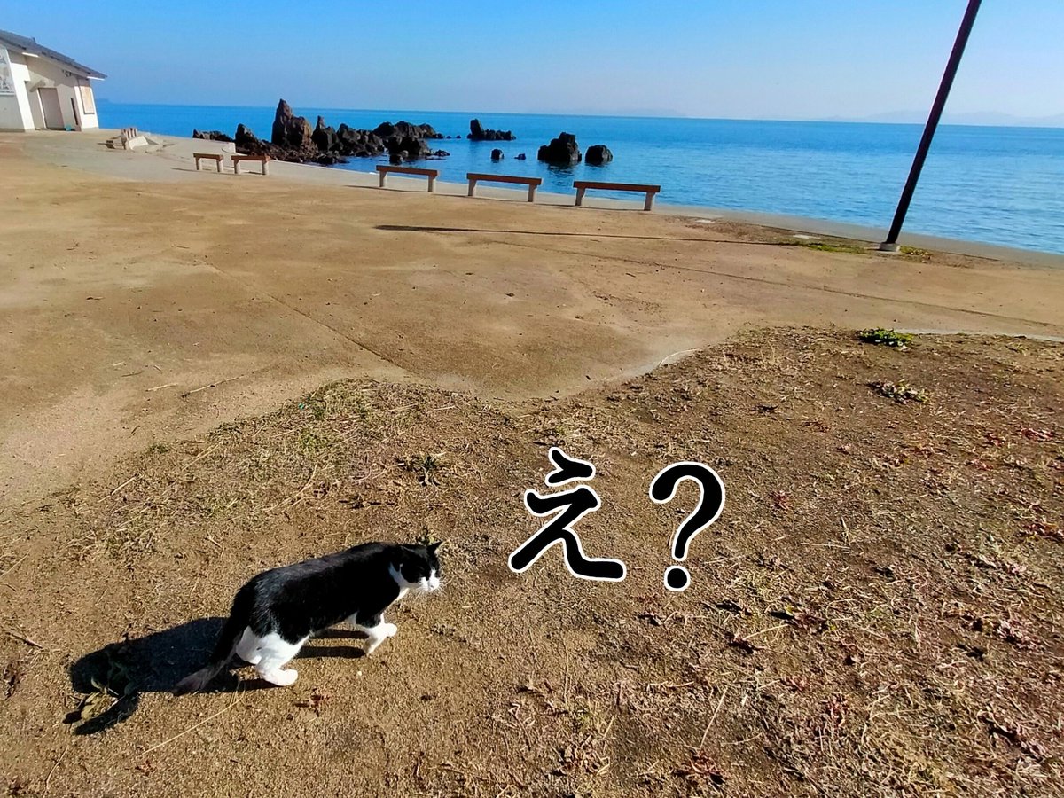 back_hanger's tweet photo. 雨情華月様聖地ドライブ
海岸線走ってきました。
景色も天気も最高の１日でした。
#雨情華月 
#聖地ドライブ
#はりまシーサイドロード https://t.co/KJbTnIaSdQ