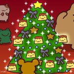 本日12月12日は、クリスマスツリー完成記念＆パウダーちゃんのお誕生日!