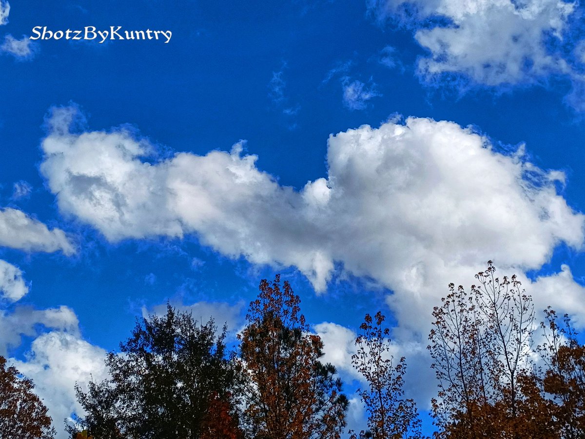 KuntryPicz's tweet photo. #ShotzByKuntry #cloudynight #sky #skylovers #skyart #cloudsdelight #amazingclouds #beautifulsky #moonlight #cloudart #cloudlovers #skyphotography #myview #skyphotographer #cloudpictures #cloudphoto #capturethesky #nightphotography https://t.co/Spfv1JbRiz
