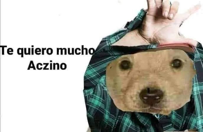 IsidroChan4's tweet photo. Aczino, simplemente el mejor de todos los tiempos. Te quiero mucho Mau https://t.co/GYF4CpF2n0