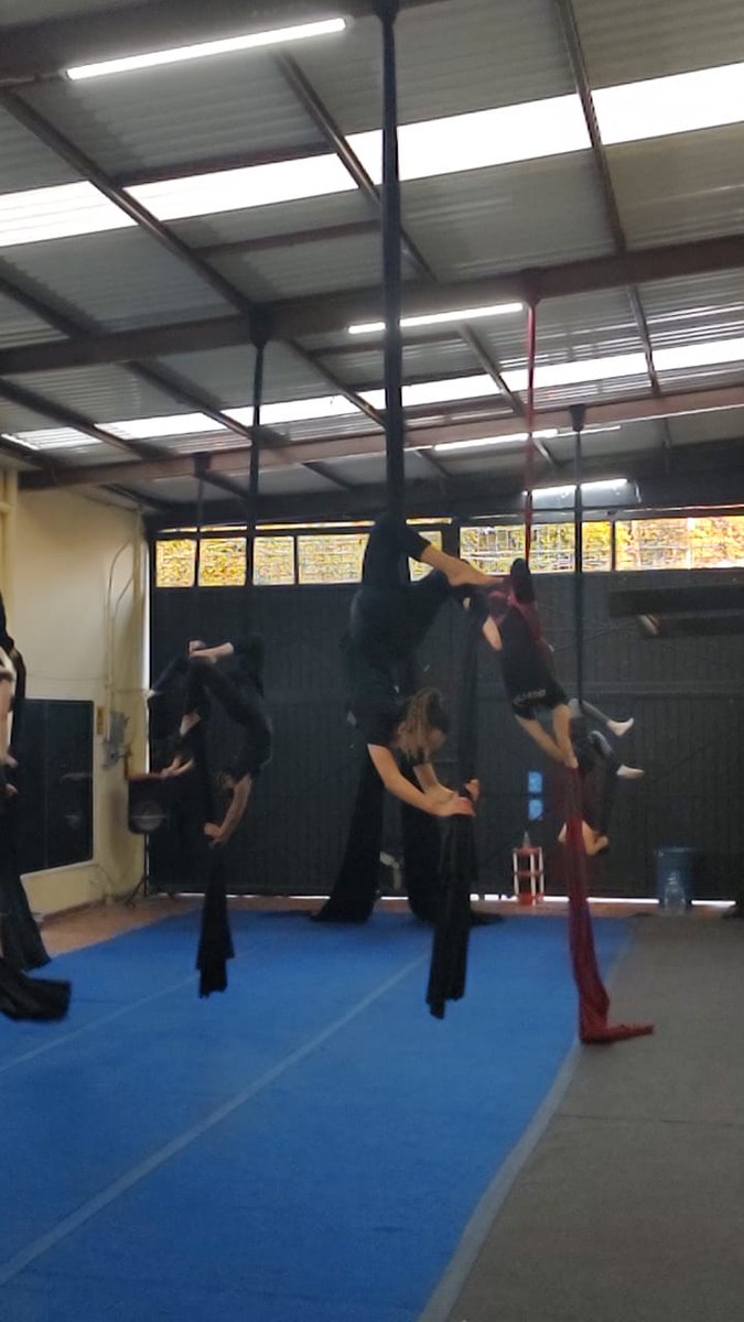ariicube's tweet image. #danzaaérea #aerialsilks #goals2021
Esto me llena. 💕🥰