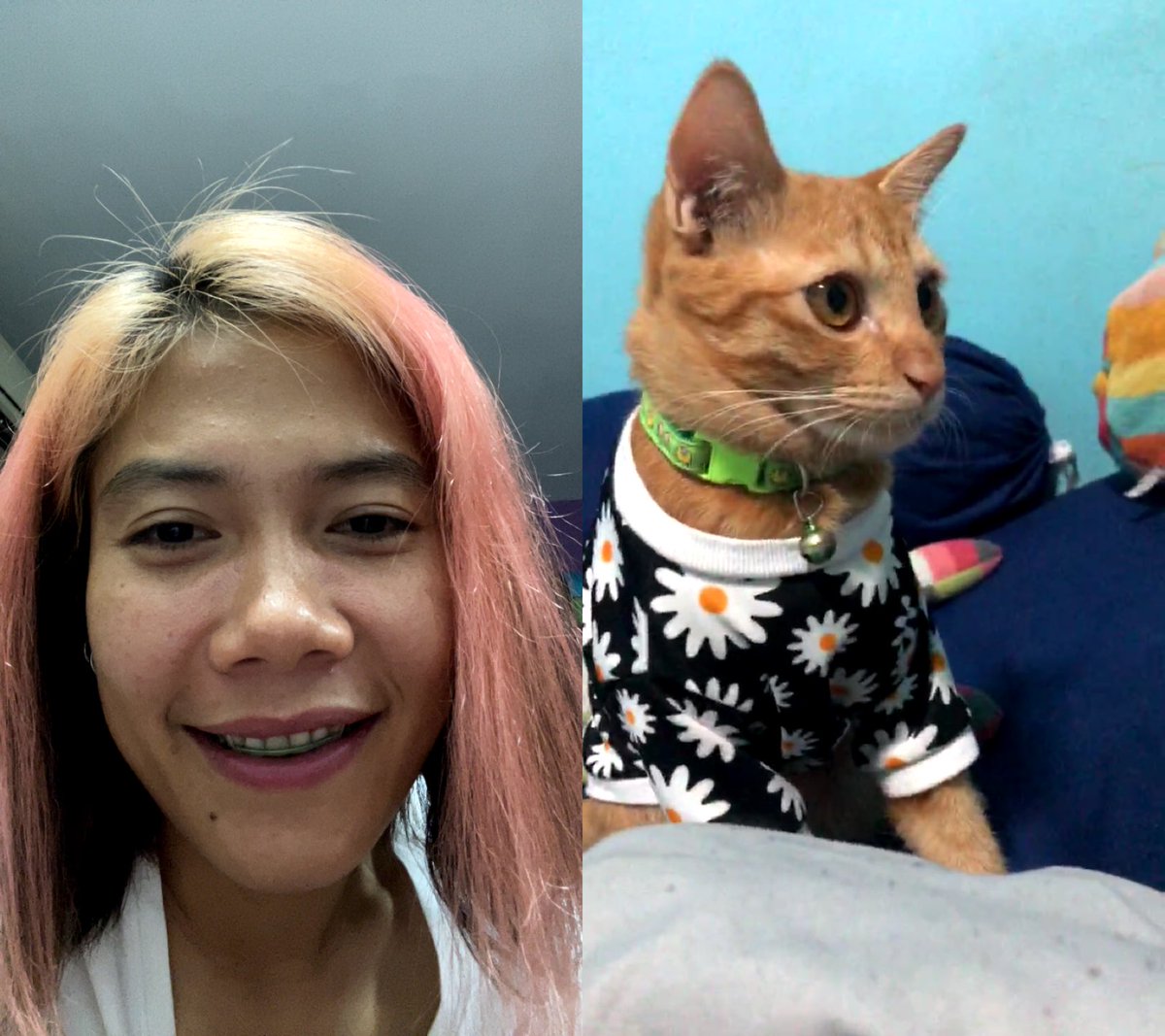SChanida1's tweet photo. Hi son😻miss you so much ♥️ https://t.co/yzn8Tr1Z2V