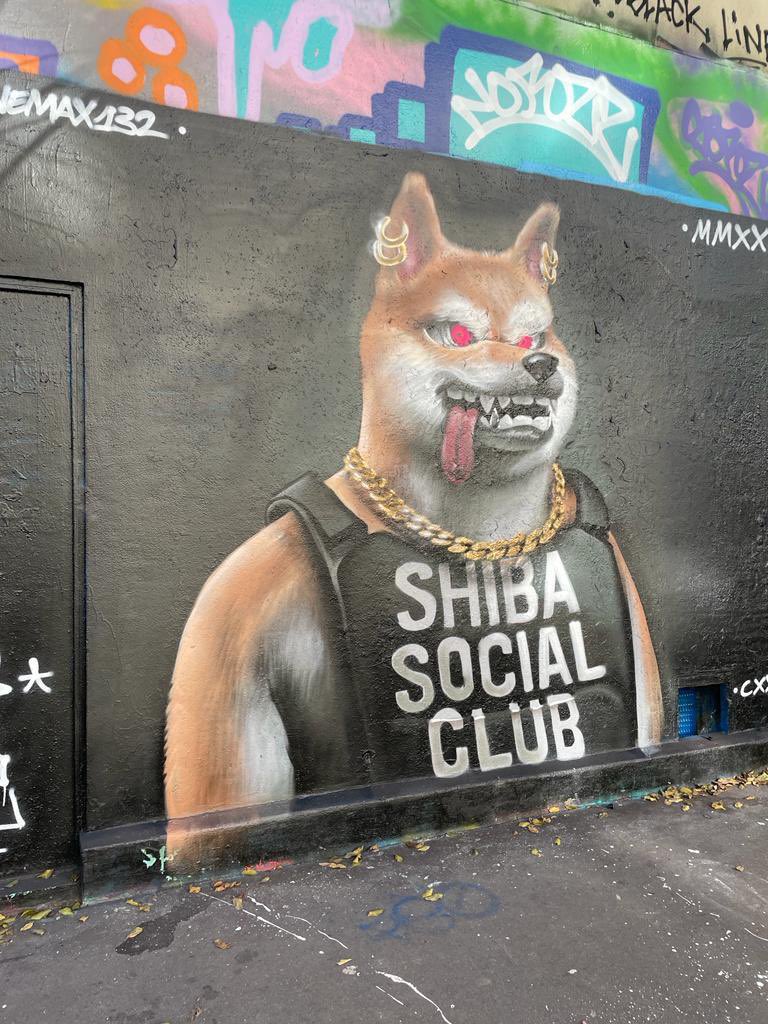 Shibaclubnft's tweet photo. This community is amazing 🔥
#shibasocialclub https://t.co/TpkyhtulN4