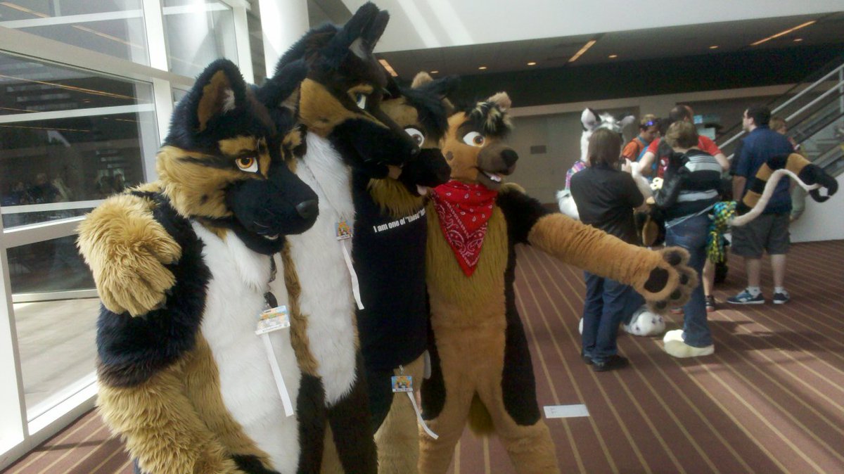 TurboWolf7's tweet photo. Old pic from AC, I think thats 2012,from left to right @schaferwuff myself, @flushGshep and I believe it's @DoryuuShep (sorry if I'm wrong it's been a long time) #olddog #graymuzzle https://t.co/iO0AP6gf8U