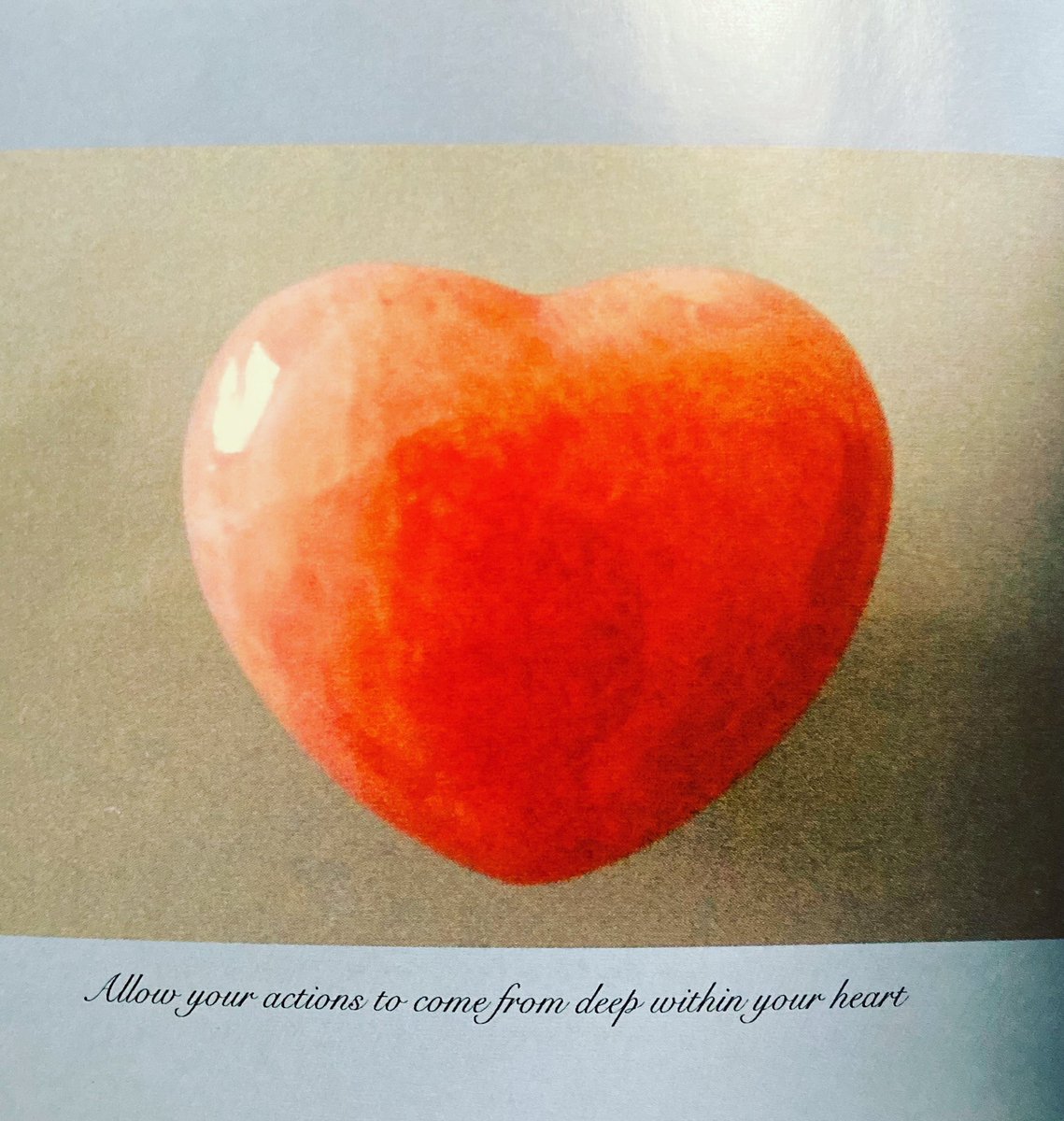 DailyPositiveE1's tweet photo. #love #positivity #positiveenergy #positiveaffirmations #positivethinking https://t.co/l8ry7Q8iCG