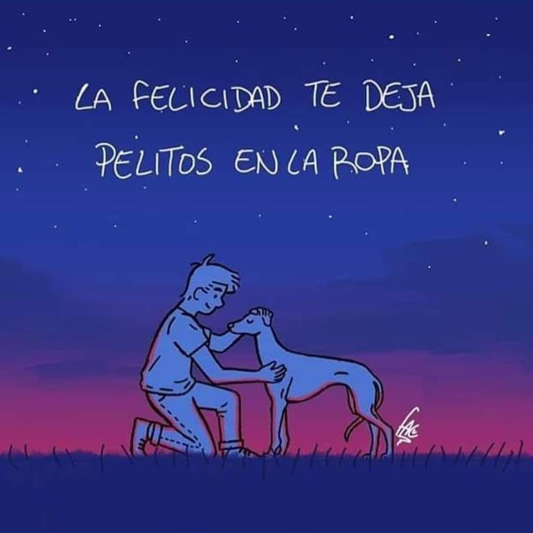 ConsueloDuval's tweet photo. Muchos muchos pelitos 😍 https://t.co/GfknGzTMXB