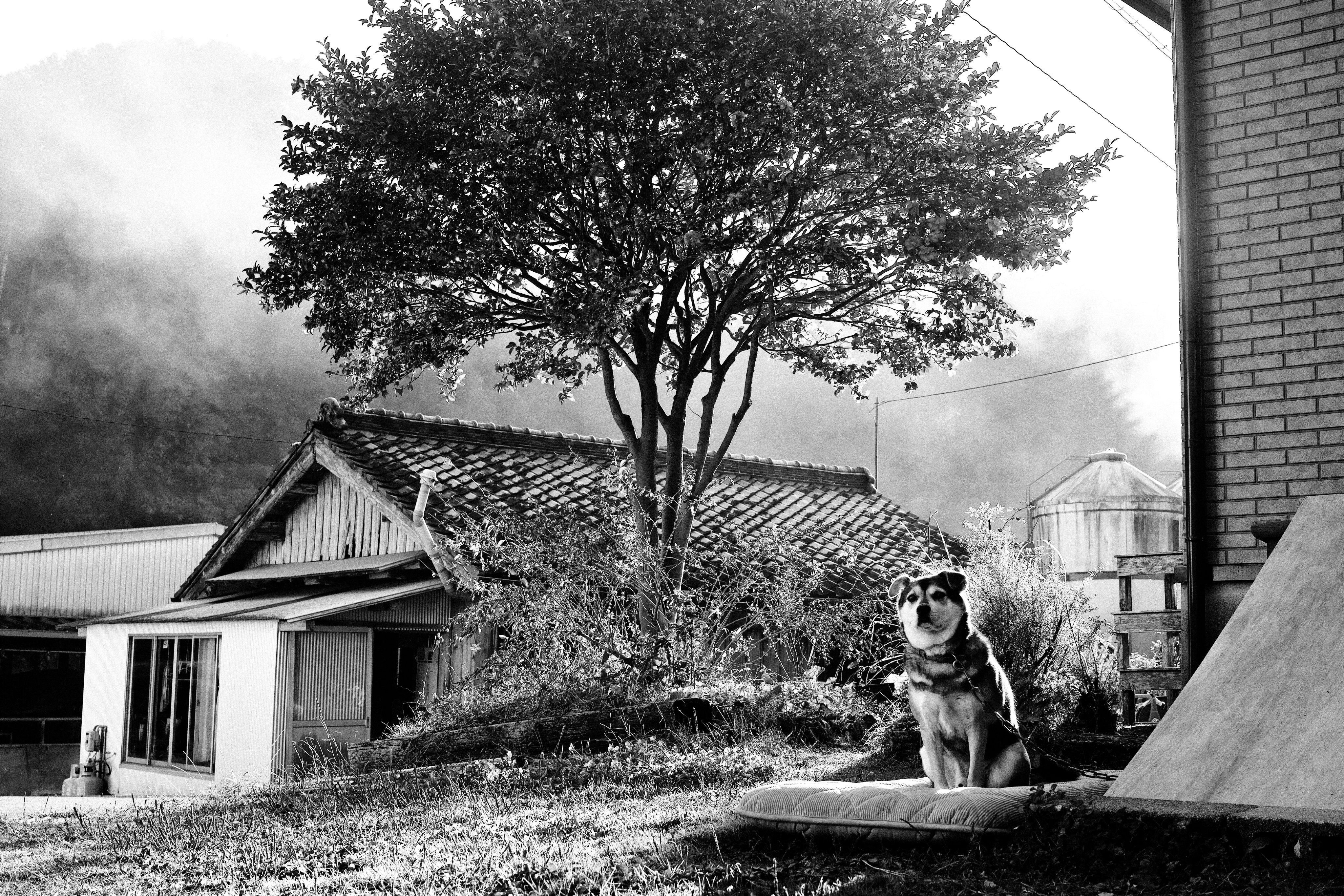 Naka Himiro なかひみろ Nakahimiro Twitter