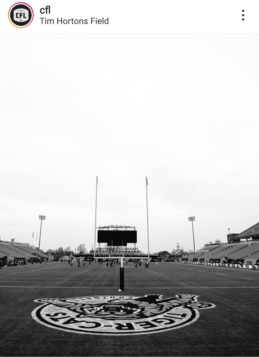 LynnRThom's tweet photo. Getting ready for the big game tomorrow!  Come on @Ticats   this is our time, it's our year in our house!  Oskee Wee Wee!  Eat 'em RAW! https://t.co/6XMtyn92yA