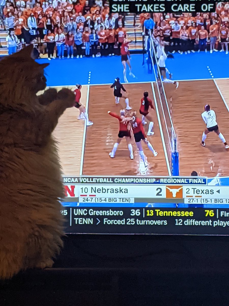 mamabIsom's tweet photo. @Huskervball https://t.co/XcIAx7196J