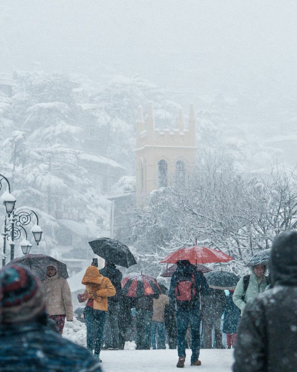 SidHimachal's tweet image. It’s one and only Beautiful Ridge Shimla