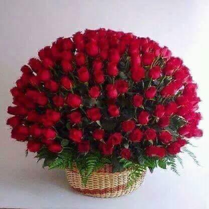 avkraja's tweet photo. வாழ்த்த வயதில்லை வணங்குகிறேன்.
@rajinikanth @SudhakarVM https://t.co/tsY4coSs6k