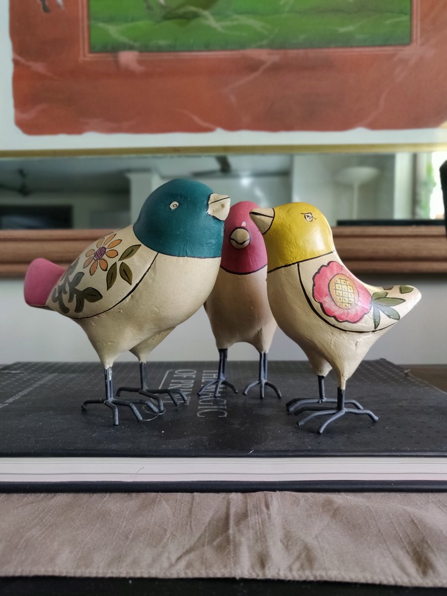 manojarora2's tweet photo. Tweet tweet!

#birds #sundayvibes #SundayMotivation #vibe https://t.co/8usdu2GTln