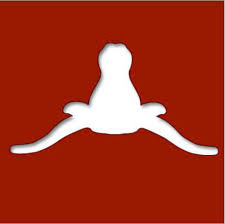 Linette McCune (@ljmccune33) on Twitter photo 