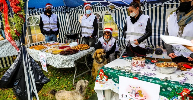 e_niort's tweet photo. #Niort. Un Noël aussi pour les chiens des SDF. https://t.co/IUBsS6TzXS https://t.co/NeqiSUjmb5