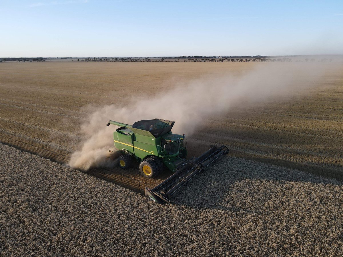 Chasing 10-45t of commodus barley. Anywhere in SA any leads be great cheers