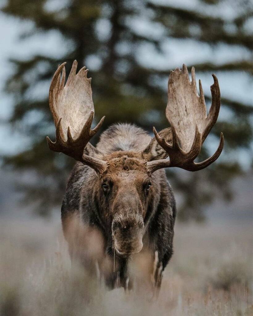 National Park Geek® tweet media