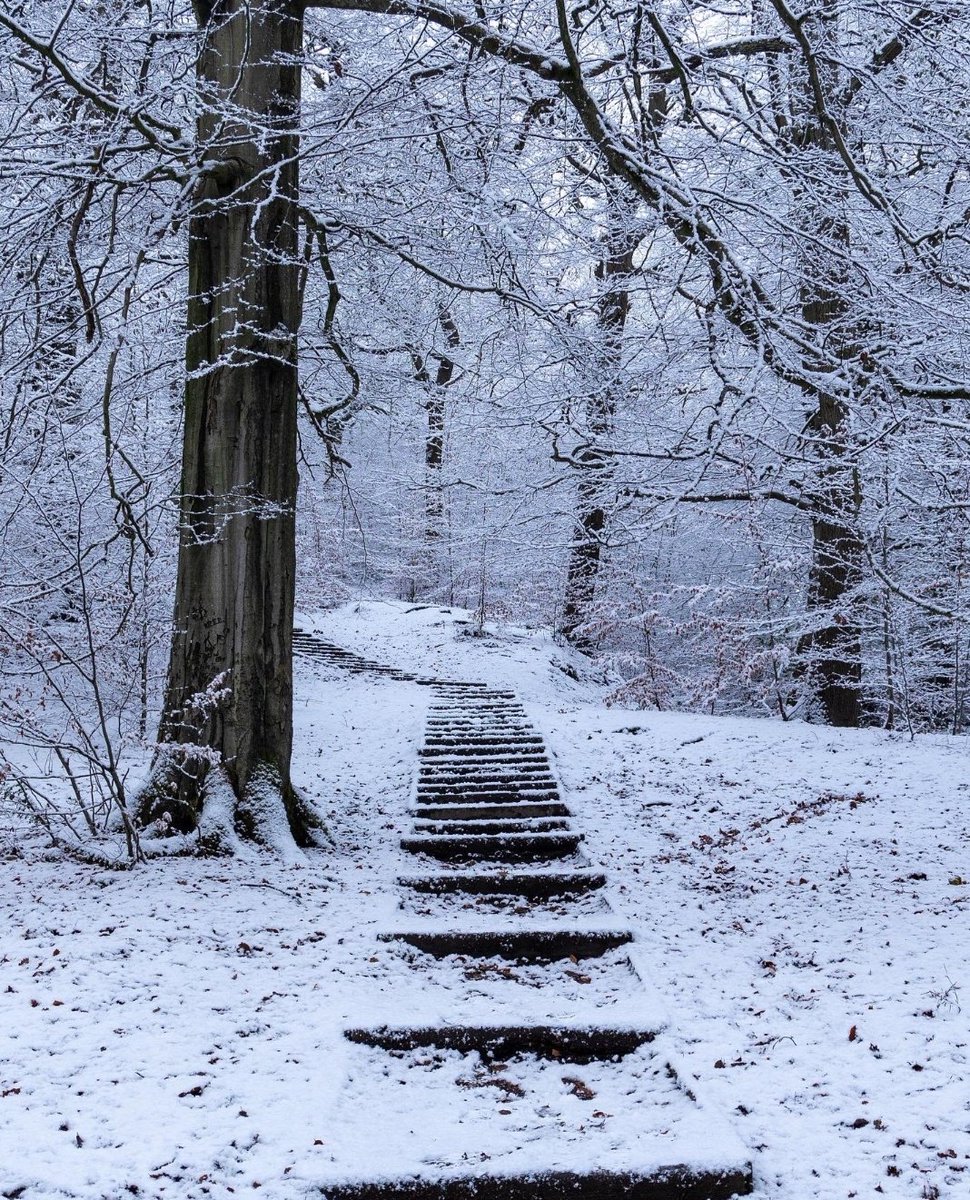 Nora 💄👠 tweet media