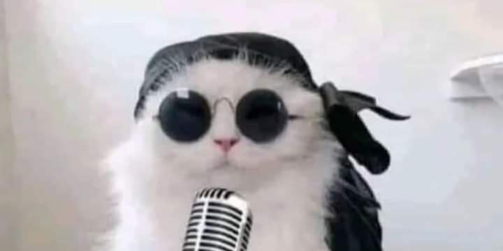 ✌🏼(◕ ˬ ◕˙˙🌸)✌🏼 Y'all need to chill more tweet media