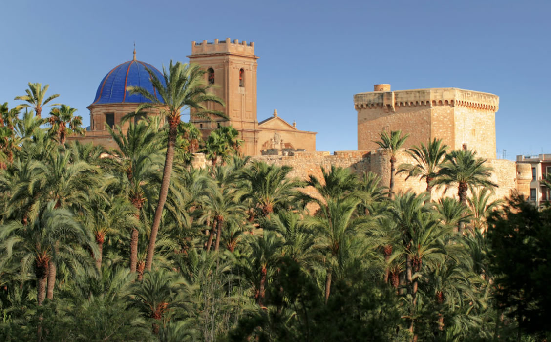 Anubisillo árboreo 🌳 tweet media