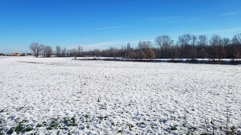 Viantiqua's tweet photo. Buona domenica dalla valle dello Stirone
#stirone #neve #Viantiqua #agriturismoviantiqua #fornio #Fidenza #Parma https://t.co/aCXRRrNGne https://t.co/dI9hZri3k6