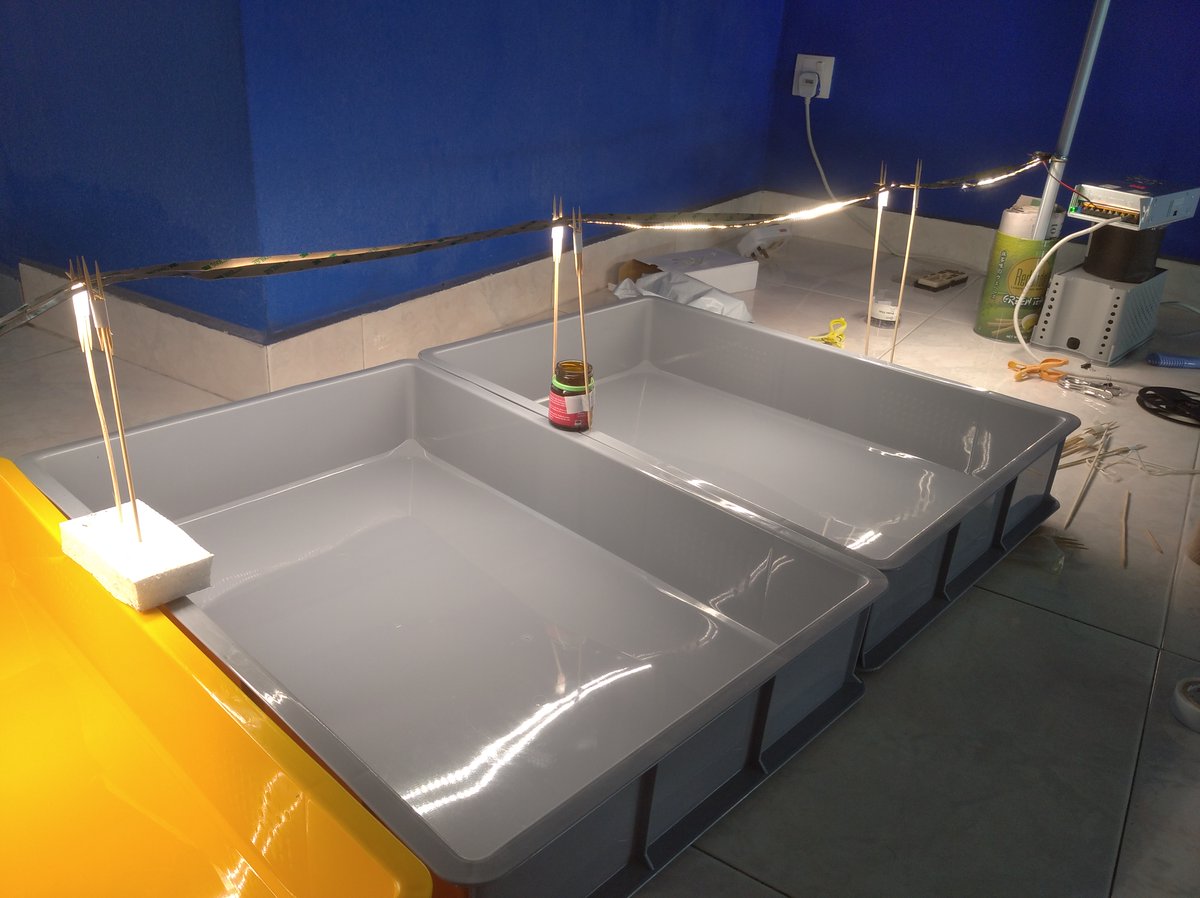 tomsgardeninsg's tweet image. Started my indoor garden back in Nov 2020....with lots of DIY
#indoorgardening #kratkymethod #gardening