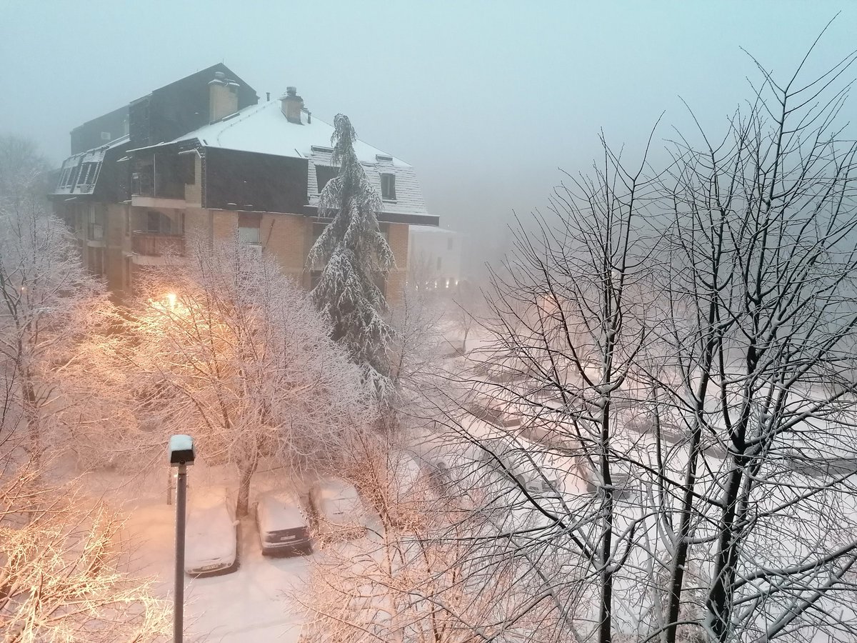Traffic_Camera's tweet photo. Jutro u Beogradu. Prvi pravi sneg, 12. Dec 2021. Svetlost je pozlatila beli sneg..
#FilmskiGrad #Košutnjak https://t.co/YwV3srJiBF