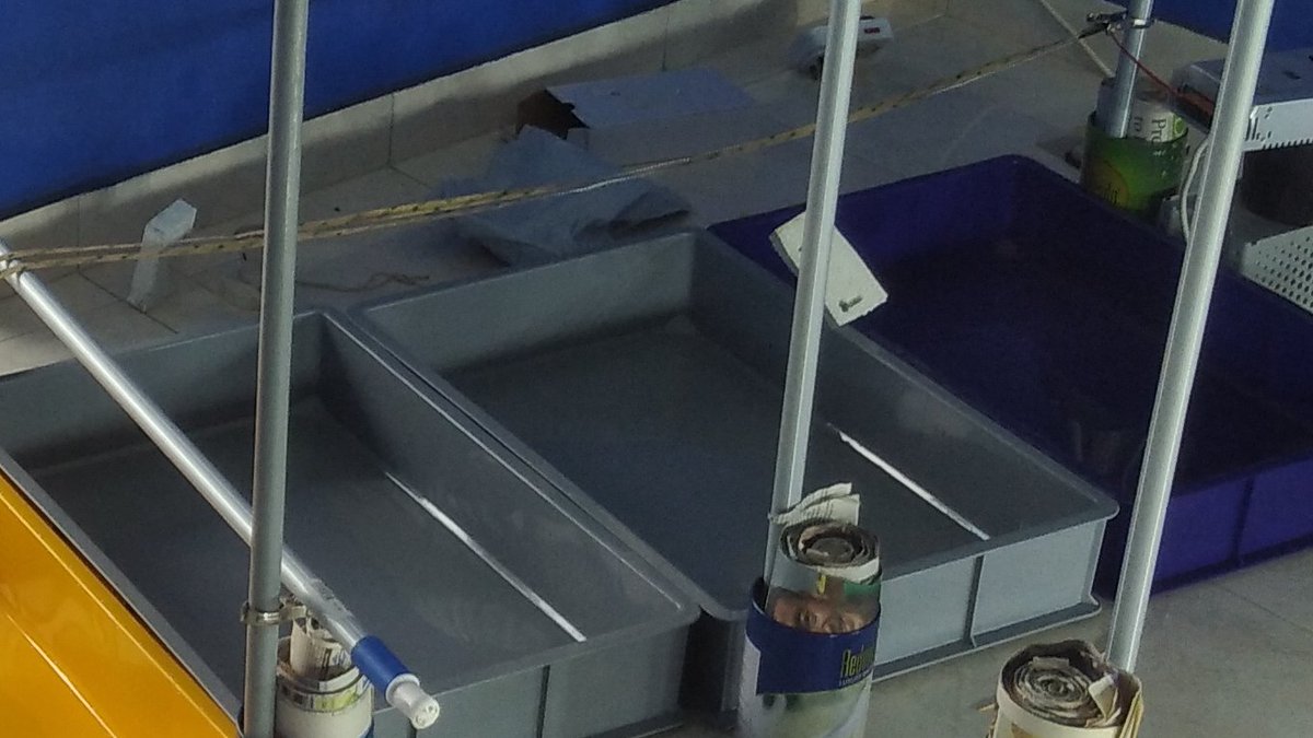 tomsgardeninsg's tweet image. Started my indoor garden back in Nov 2020....with lots of DIY
#indoorgardening #kratkymethod #gardening