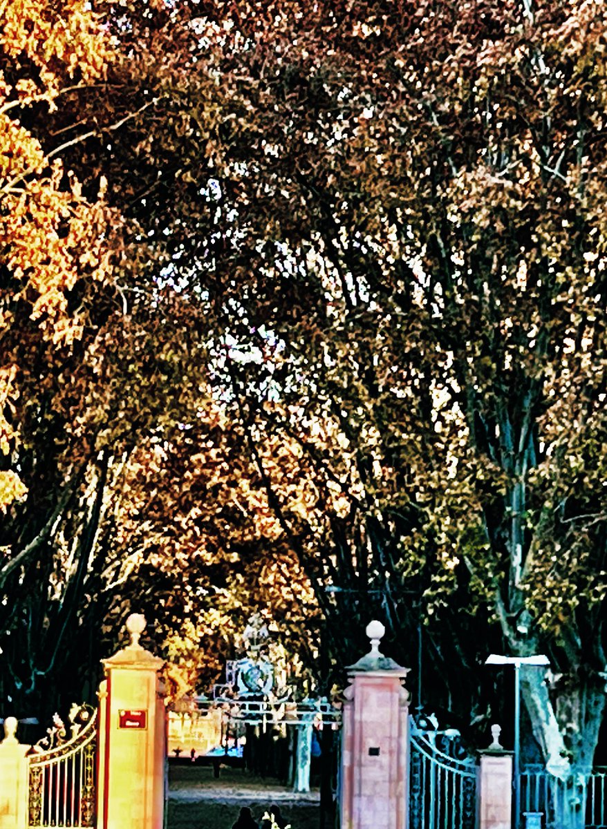 PardoMestre's tweet photo. #BonDia #Lleida 📢els campos seran sempre nostres ‼️#laquesap #veinesiestimades https://t.co/fDqp2692Bp