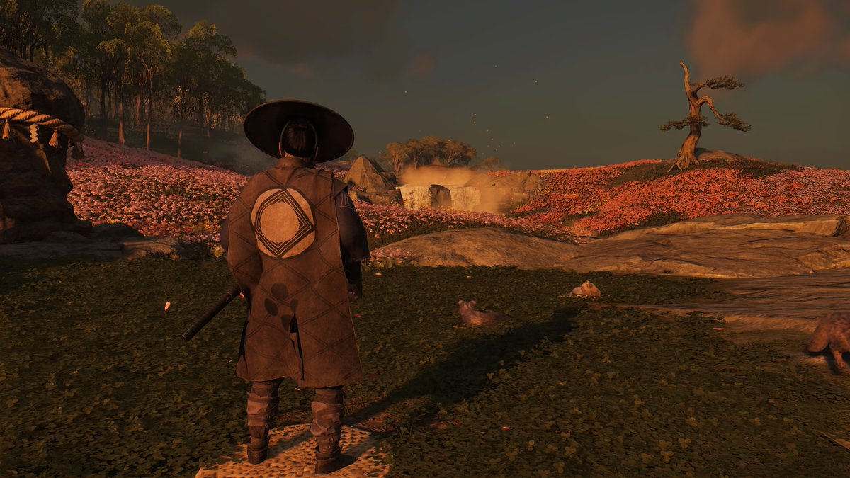 ashu12100's tweet photo. #GhostOfTsushima  #PS5Share, #GhostofTsushima https://t.co/iUiB5I17EC