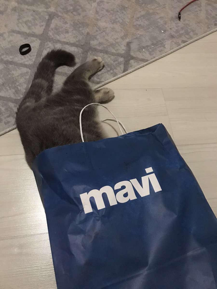 miav