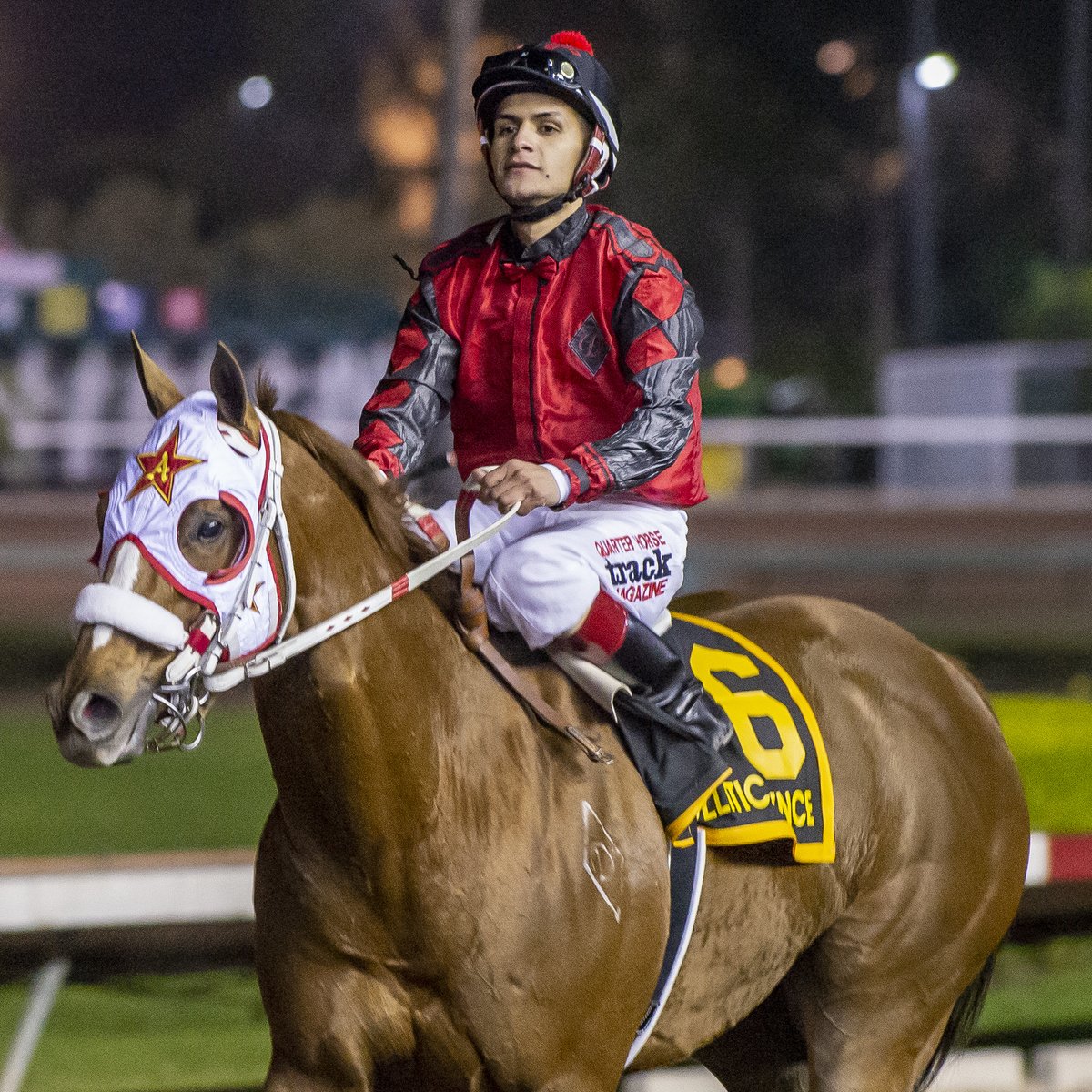 losalracing's tweet image. Images of the Champion of Champions winner APOLLITICAL PENCE. Winning owner and breeder Dunn Ranch. Winning trainer Monty Arrossa and winning jockey Armando Cervantes.