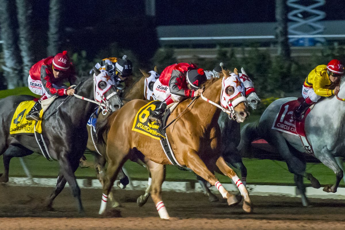 losalracing's tweet image. Images of the Champion of Champions winner APOLLITICAL PENCE. Winning owner and breeder Dunn Ranch. Winning trainer Monty Arrossa and winning jockey Armando Cervantes.