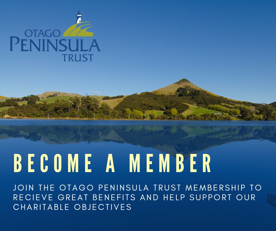 otagopeninsula's tweet photo. Become a member of the Otago Peninsula Trust 💚

As a member, your valued contribution enables the Trust to carry out its aims and objectives in protecting, preserving and enhancing the Otago Peninsula. 

Visit our website for more details. https://t.co/IGihS3HkBE